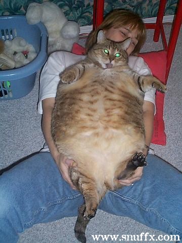 chat !!!!