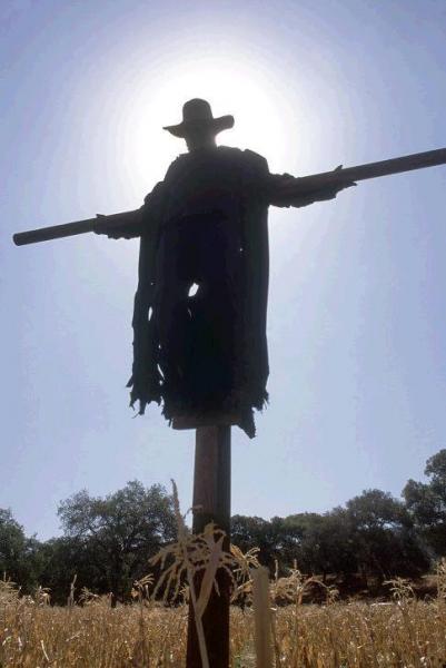 the christ