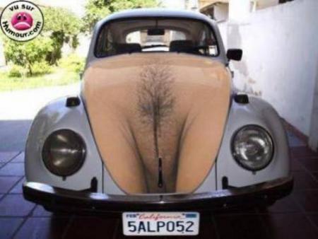 auto fun