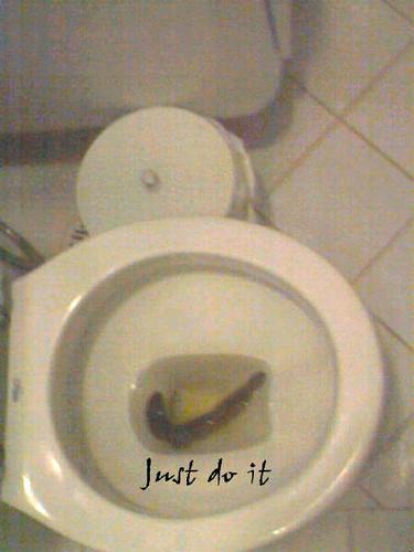 nike of cheet